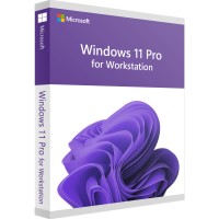 Windows 11 Pro for Workstation Windows 11 Pro for Workstation